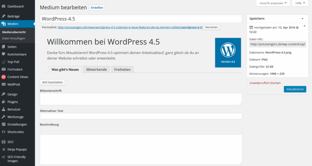 wordpress